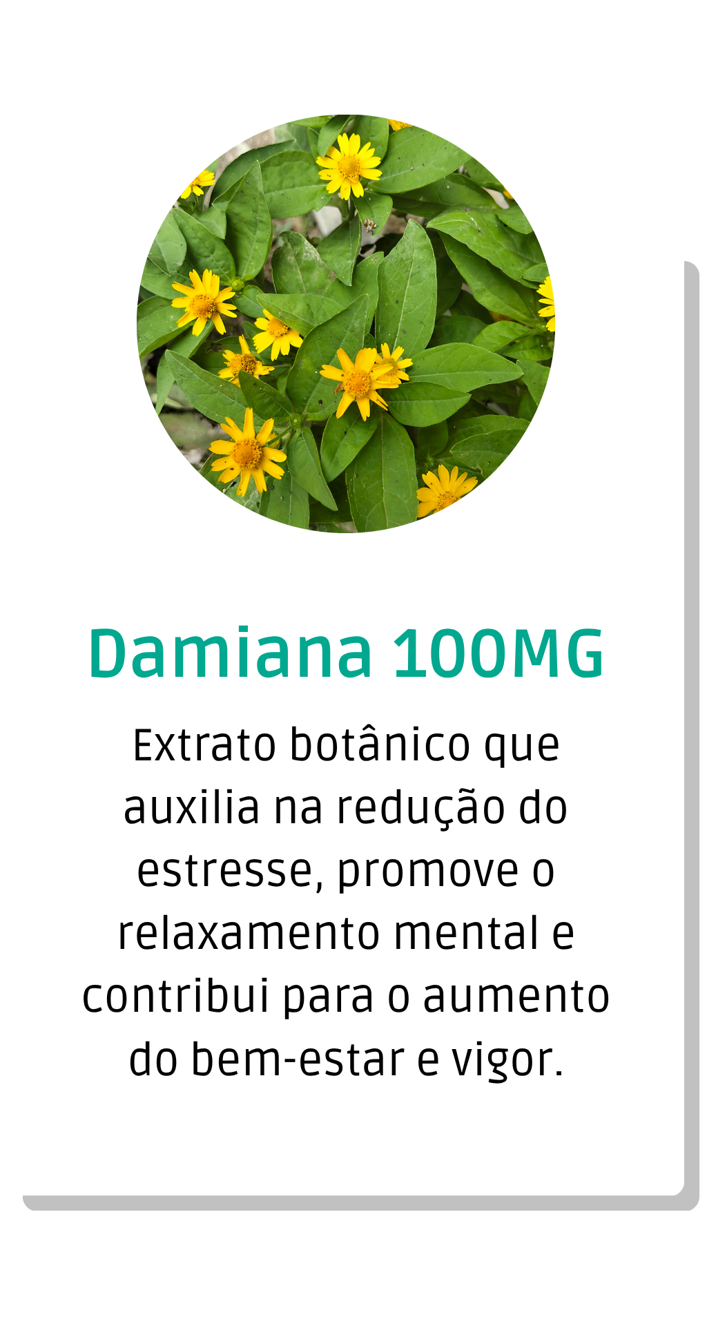 Formula-6.png